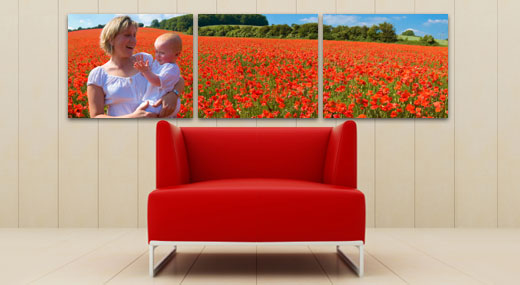 Photo sur Dibond Aluminium