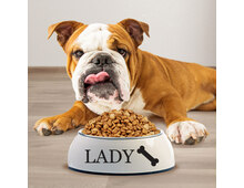 dog-bowl-350ml dog-bowl-350ml