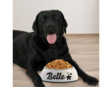 dog-bowl-700ml dog-bowl-700ml