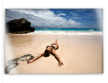 Plexi Landscape Plexi Landscape