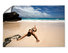 Poster Landscape Poster Landscape