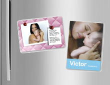 Magnetic Standard Magnetic Standard