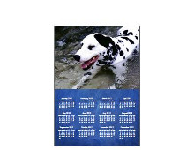 Magnetic Calendar A4 Magnetic Calendar A4