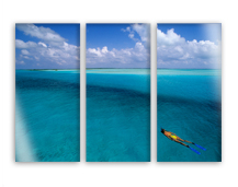 Plexi Multiple Plexi Multiple