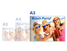 Regular A3L Regular A3L